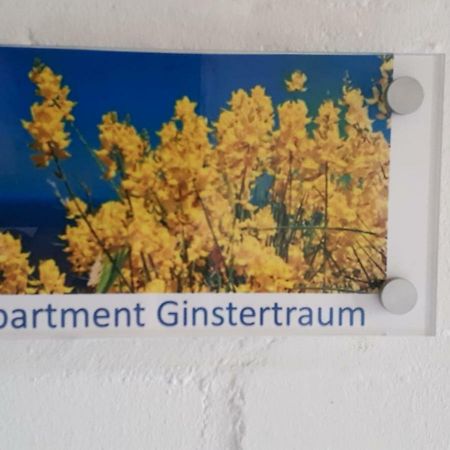 Appartement Ginstertraum Lüneburg Zewnętrze zdjęcie